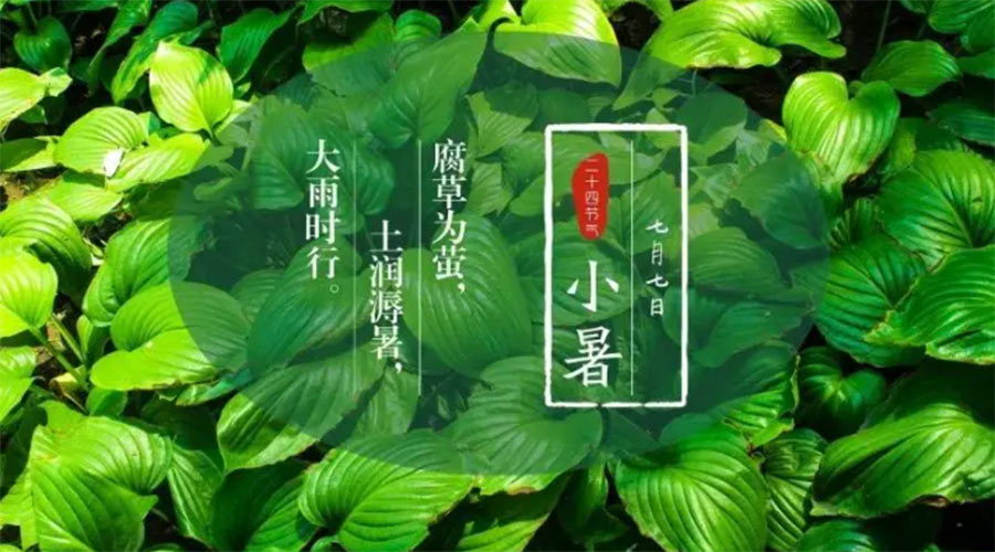 小暑時節(jié)來到！金環(huán)電器提醒大家要注意的事項